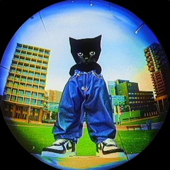 NEKO NVSTY