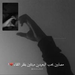 Samar Eltaweel