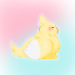 Cookie