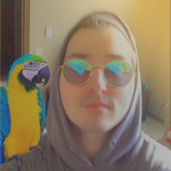 BI6M4C