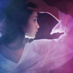 Aryaniaulia Aryaniaulia