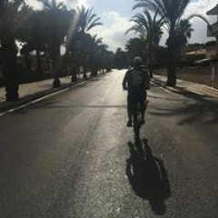 Wessel Mos