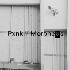 Pxnk⛧Morpheꃼs