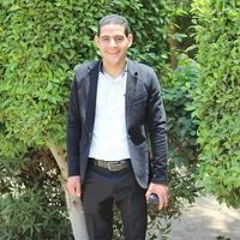 عبدالستار حلمى توفيق