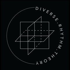 Diverse Rhythm Theory