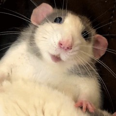 suwwoo