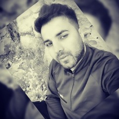 naser lashkari