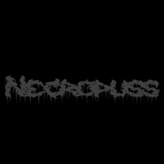 Necropuss