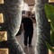 Fady