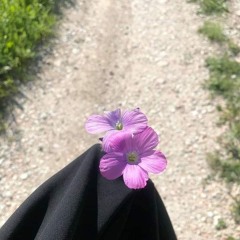 مودة عبدالهادى