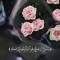 Mohamed Adel AlSherbiny