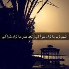 Shahd Hany