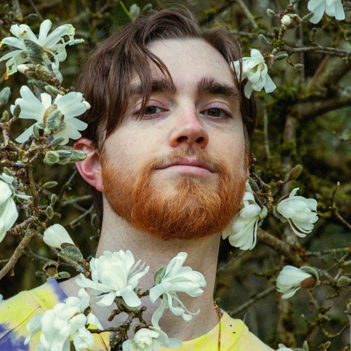 SoundCloud profile picture for @faraday