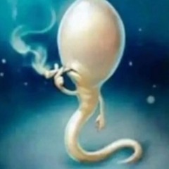 YUNGKNITTERNATIONXD:OPUTO