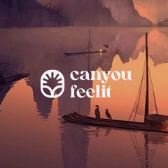 canyoufeelit