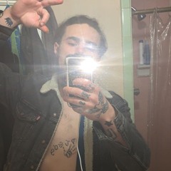 leva born aka sun bear