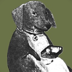 mähgяaum☽ /  lofï sυrfer ⛧