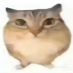 J-Luca