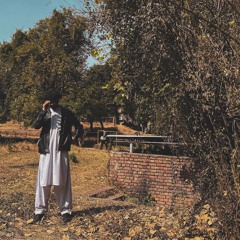 Ammar Afridi