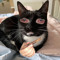 Luna Ishi