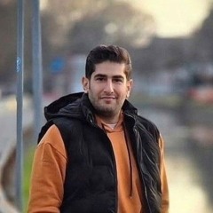 Pedram Bozorgzad