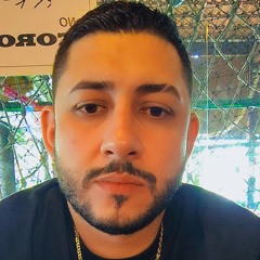 Luiz Gandine