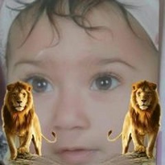 سلامه النمر