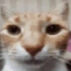 chxpperage