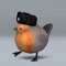 Pooticus Spencer