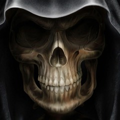 Profound Skulls