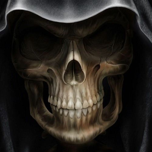 Profound Skulls