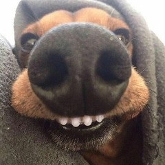 qweee