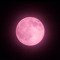 mulanimoon🌙