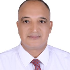 Mahmoud Farrag