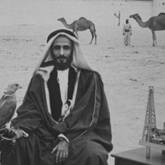 M BinBishr
