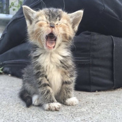 Santana