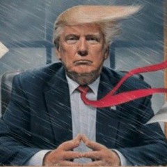 president trump