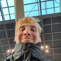 Borgi