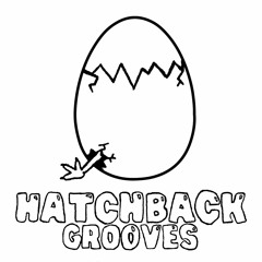 Hatchback Grooves