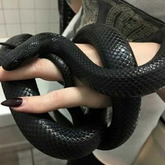 MAMBA NEGRA  //duendedeladiscordia