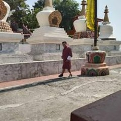 Tancha Kota