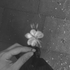 silent film