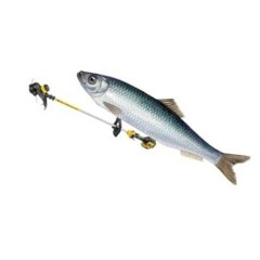 Trimmer