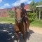User 605102892