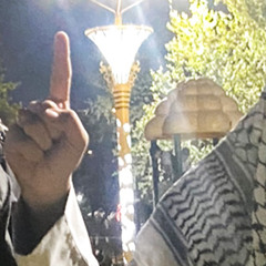 ابو زينب