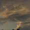 +82_JUNK