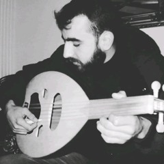 Ali M Abbass