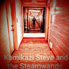 Kamikazi Steve and the Steamwands