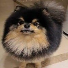 I'm just Tanie go sound cloud to listen some music