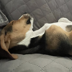 camilo